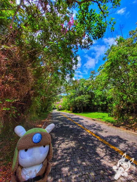 Estrada-Parque Serra da Macaca - Rodovia SP-139 | São Miguel Arcanjo - São Paulo - Brasil | FredLee Na Estrada Estrada-Parque Serra da Macaca - Rodovia SP-139 | São Miguel Arcanjo - São Paulo - Brasil | FredLee Na Estrada