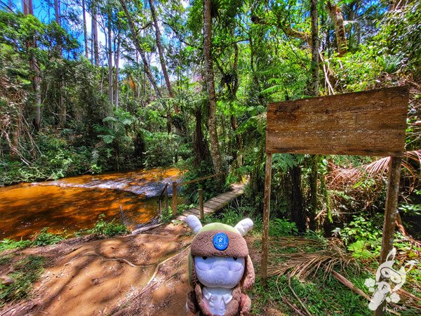 Trilha do Rio Taquaral | Parque Estadual Carlos Botelho (PECB) Núcleo São Miguel Arcanjo | São Miguel Arcanjo - São Paulo - Brasil | FredLee Na Estrada Trilha do Rio Taquaral | Parque Estadual Carlos Botelho (PECB) Núcleo São Miguel Arcanjo | São Miguel Arcanjo - São Paulo - Brasil | FredLee Na Estrada