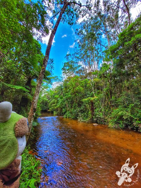 Trilha do Rio Taquaral | Parque Estadual Carlos Botelho (PECB) Núcleo São Miguel Arcanjo | São Miguel Arcanjo - São Paulo - Brasil | FredLee Na Estrada Trilha do Rio Taquaral | Parque Estadual Carlos Botelho (PECB) Núcleo São Miguel Arcanjo | São Miguel Arcanjo - São Paulo - Brasil | FredLee Na Estrada
