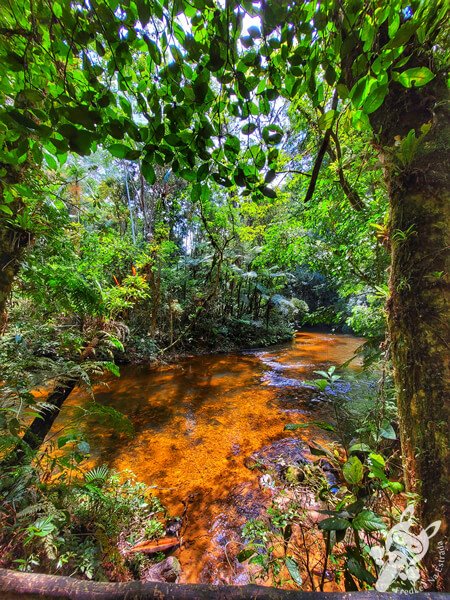 Trilha do Rio Taquaral | Parque Estadual Carlos Botelho (PECB) Núcleo São Miguel Arcanjo | São Miguel Arcanjo - São Paulo - Brasil | FredLee Na Estrada Trilha do Rio Taquaral | Parque Estadual Carlos Botelho (PECB) Núcleo São Miguel Arcanjo | São Miguel Arcanjo - São Paulo - Brasil | FredLee Na Estrada