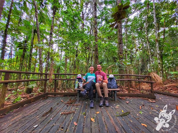 Trilha das Bromélias | Parque Estadual Carlos Botelho (PECB) Núcleo São Miguel Arcanjo | São Miguel Arcanjo - São Paulo - Brasil | FredLee Na Estrada Trilha das Bromélias | Parque Estadual Carlos Botelho (PECB) Núcleo São Miguel Arcanjo | São Miguel Arcanjo - São Paulo - Brasil | FredLee Na Estrada
