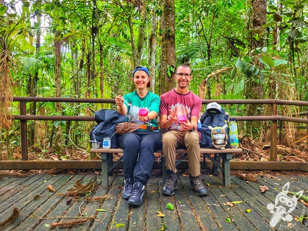 Trilha das Bromélias | Parque Estadual Carlos Botelho (PECB) Núcleo São Miguel Arcanjo | São Miguel Arcanjo - São Paulo - Brasil | FredLee Na Estrada Trilha das Bromélias | Parque Estadual Carlos Botelho (PECB) Núcleo São Miguel Arcanjo | São Miguel Arcanjo - São Paulo - Brasil | FredLee Na Estrada