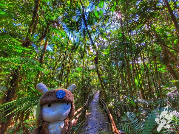 Trilha da Canela | Parque Estadual Carlos Botelho (PECB) Núcleo São Miguel Arcanjo | São Miguel Arcanjo - São Paulo - Brasil | FredLee Na Estrada Trilha da Canela | Parque Estadual Carlos Botelho (PECB) Núcleo São Miguel Arcanjo | São Miguel Arcanjo - São Paulo - Brasil | FredLee Na Estrada