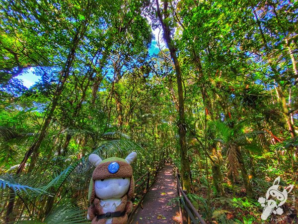 Trilha da Canela | Parque Estadual Carlos Botelho (PECB) Núcleo São Miguel Arcanjo | São Miguel Arcanjo - São Paulo - Brasil | FredLee Na Estrada Trilha da Canela | Parque Estadual Carlos Botelho (PECB) Núcleo São Miguel Arcanjo | São Miguel Arcanjo - São Paulo - Brasil | FredLee Na Estrada