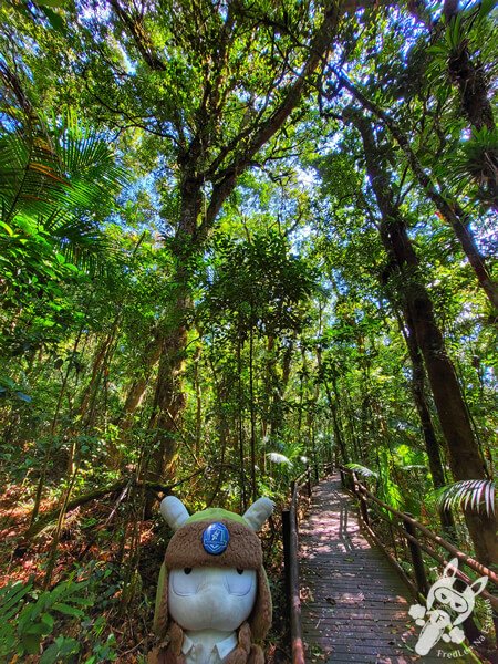 Trilha da Canela | Parque Estadual Carlos Botelho (PECB) Núcleo São Miguel Arcanjo | São Miguel Arcanjo - São Paulo - Brasil | FredLee Na Estrada Trilha da Canela | Parque Estadual Carlos Botelho (PECB) Núcleo São Miguel Arcanjo | São Miguel Arcanjo - São Paulo - Brasil | FredLee Na Estrada