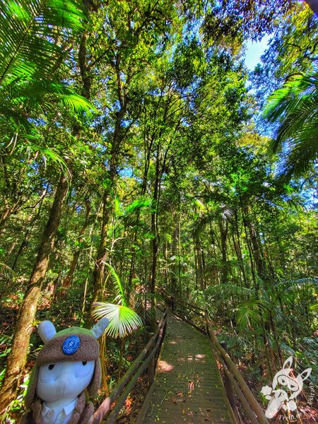 Trilha da Canela | Parque Estadual Carlos Botelho (PECB) Núcleo São Miguel Arcanjo | São Miguel Arcanjo - São Paulo - Brasil | FredLee Na Estrada Trilha da Canela | Parque Estadual Carlos Botelho (PECB) Núcleo São Miguel Arcanjo | São Miguel Arcanjo - São Paulo - Brasil | FredLee Na Estrada