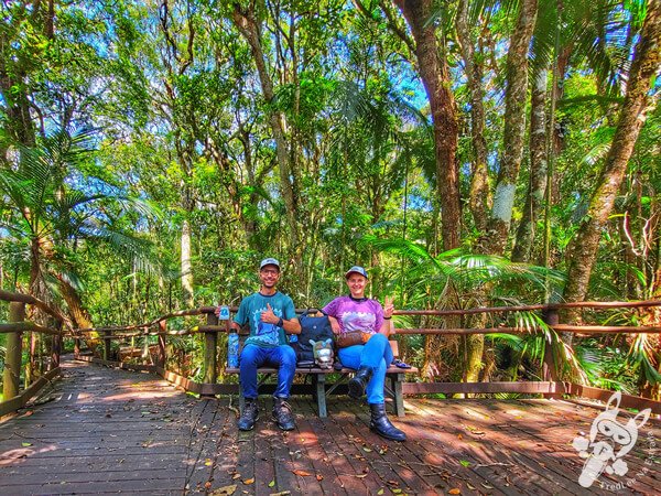 Trilha da Canela | Parque Estadual Carlos Botelho (PECB) Núcleo São Miguel Arcanjo | São Miguel Arcanjo - São Paulo - Brasil | FredLee Na Estrada Trilha da Canela | Parque Estadual Carlos Botelho (PECB) Núcleo São Miguel Arcanjo | São Miguel Arcanjo - São Paulo - Brasil | FredLee Na Estrada
