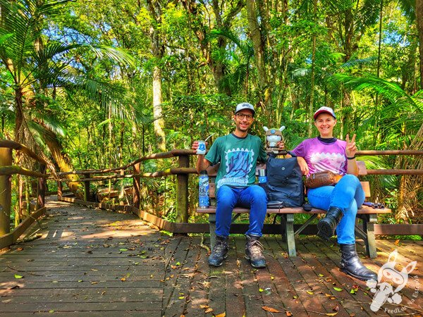 Trilha da Canela | Parque Estadual Carlos Botelho (PECB) Núcleo São Miguel Arcanjo | São Miguel Arcanjo - São Paulo - Brasil | FredLee Na Estrada Trilha da Canela | Parque Estadual Carlos Botelho (PECB) Núcleo São Miguel Arcanjo | São Miguel Arcanjo - São Paulo - Brasil | FredLee Na Estrada