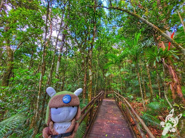 Trilha da Canela | Parque Estadual Carlos Botelho (PECB) Núcleo São Miguel Arcanjo | São Miguel Arcanjo - São Paulo - Brasil | FredLee Na Estrada Trilha da Canela | Parque Estadual Carlos Botelho (PECB) Núcleo São Miguel Arcanjo | São Miguel Arcanjo - São Paulo - Brasil | FredLee Na Estrada