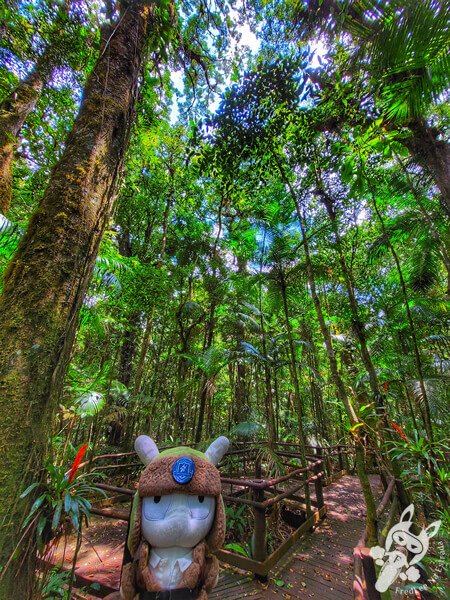Trilha da Canela | Parque Estadual Carlos Botelho (PECB) Núcleo São Miguel Arcanjo | São Miguel Arcanjo - São Paulo - Brasil | FredLee Na Estrada Trilha da Canela | Parque Estadual Carlos Botelho (PECB) Núcleo São Miguel Arcanjo | São Miguel Arcanjo - São Paulo - Brasil | FredLee Na Estrada