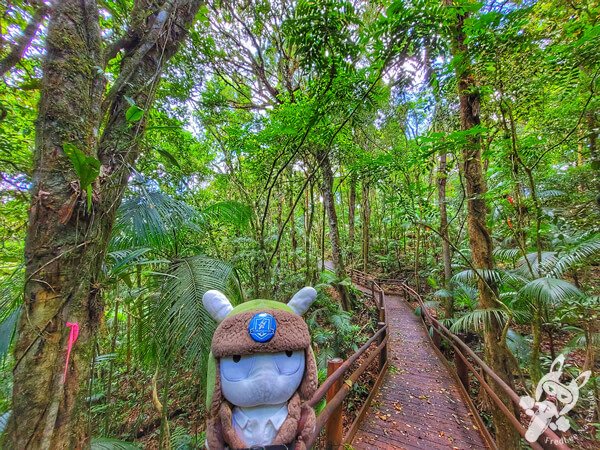 Trilha da Canela | Parque Estadual Carlos Botelho (PECB) Núcleo São Miguel Arcanjo | São Miguel Arcanjo - São Paulo - Brasil | FredLee Na Estrada Trilha da Canela | Parque Estadual Carlos Botelho (PECB) Núcleo São Miguel Arcanjo | São Miguel Arcanjo - São Paulo - Brasil | FredLee Na Estrada