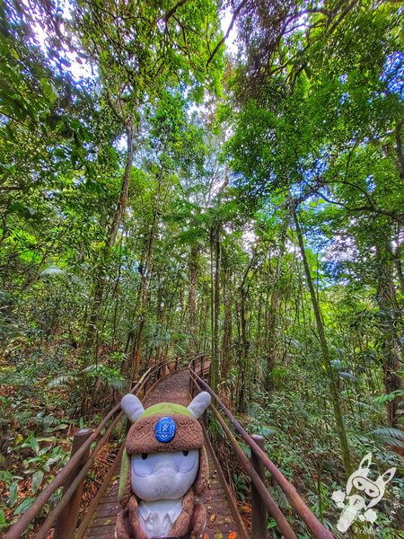 Trilha da Canela | Parque Estadual Carlos Botelho (PECB) Núcleo São Miguel Arcanjo | São Miguel Arcanjo - São Paulo - Brasil | FredLee Na Estrada Trilha da Canela | Parque Estadual Carlos Botelho (PECB) Núcleo São Miguel Arcanjo | São Miguel Arcanjo - São Paulo - Brasil | FredLee Na Estrada