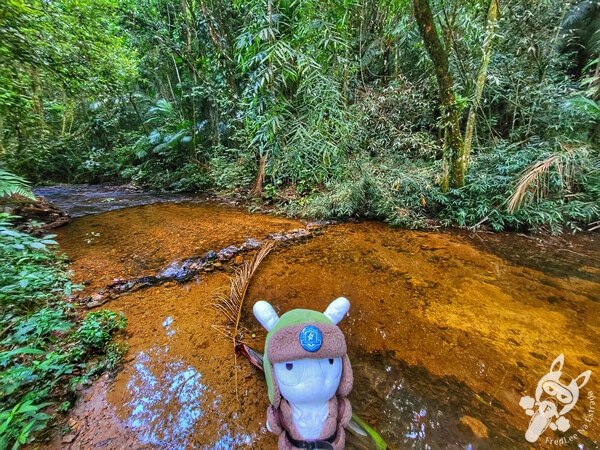 Braço do Rio Taquaral no Parque Estadual Carlos Botelho | Sete Barras - São Paulo - Brasil | FredLee Na Estrada Braço do Rio Taquaral no Parque Estadual Carlos Botelho | Sete Barras - São Paulo - Brasil | FredLee Na Estrada