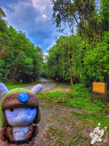 Estrada-Parque Serra da Macaca (SP-139) Parque Estadual Carlos Botelho | Sete Barras - São Paulo - Brasil | FredLee Na Estrada Estrada-Parque Serra da Macaca (SP-139) Parque Estadual Carlos Botelho | Sete Barras - São Paulo - Brasil | FredLee Na Estrada