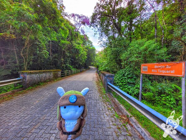 Estrada-Parque Serra da Macaca (SP-139) Parque Estadual Carlos Botelho | Sete Barras - São Paulo - Brasil | FredLee Na Estrada Estrada-Parque Serra da Macaca (SP-139) Parque Estadual Carlos Botelho | Sete Barras - São Paulo - Brasil | FredLee Na Estrada