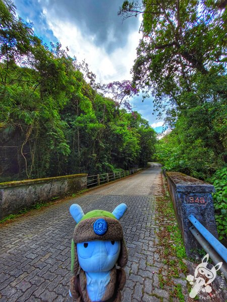 Ponte na Estrada-Parque Serra da Macaca (SP-139) Parque Estadual Carlos Botelho | Sete Barras - São Paulo - Brasil | FredLee Na Estrada Ponte na Estrada-Parque Serra da Macaca (SP-139) Parque Estadual Carlos Botelho | Sete Barras - São Paulo - Brasil | FredLee Na Estrada