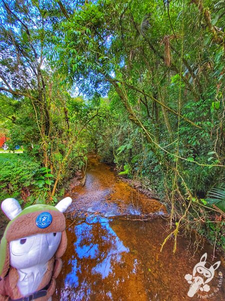 Braço do Rio Taquaral no Parque Estadual Carlos Botelho | Sete Barras - São Paulo - Brasil | FredLee Na Estrada Braço do Rio Taquaral no Parque Estadual Carlos Botelho | Sete Barras - São Paulo - Brasil | FredLee Na Estrada