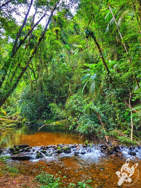Braço do Rio Taquaral no Parque Estadual Carlos Botelho | Sete Barras - São Paulo - Brasil | FredLee Na Estrada Braço do Rio Taquaral no Parque Estadual Carlos Botelho | Sete Barras - São Paulo - Brasil | FredLee Na Estrada