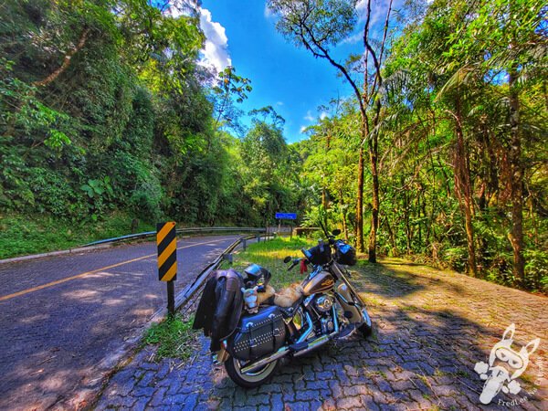 Estrada-Parque Serra da Macaca (SP-139) Parque Estadual Carlos Botelho | Sete Barras - São Paulo - Brasil | FredLee Na Estrada Estrada-Parque Serra da Macaca (SP-139) Parque Estadual Carlos Botelho | Sete Barras - São Paulo - Brasil | FredLee Na Estrada
