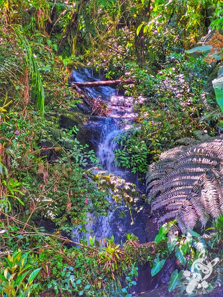 Cachoeira na Estrada-Parque Serra da Macaca (SP-139) Parque Estadual Carlos Botelho | Sete Barras - São Paulo - Brasil | FredLee Na Estrada Cachoeira na Estrada-Parque Serra da Macaca (SP-139) Parque Estadual Carlos Botelho | Sete Barras - São Paulo - Brasil | FredLee Na Estrada