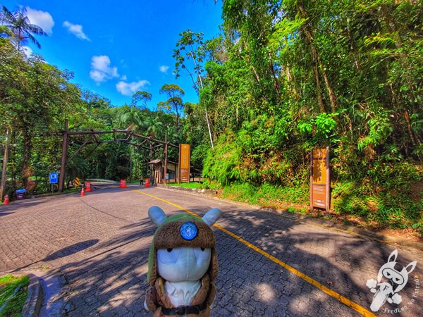 Entrada da Estrada-Parque Serra da Macaca (SP-139) Parque Estadual Carlos Botelho | Sete Barras - São Paulo - Brasil | FredLee Na Estrada Entrada da Estrada-Parque Serra da Macaca (SP-139) Parque Estadual Carlos Botelho | Sete Barras - São Paulo - Brasil | FredLee Na Estrada