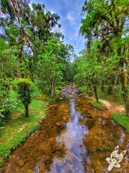 Remanso Ribeirão da Serra | Parque Estadual Carlos Botelho (PECB) Núcleo Sete Barras | Sete Barras - São Paulo - Brasil | FredLee Na Estrada Remanso Ribeirão da Serra | Parque Estadual Carlos Botelho (PECB) Núcleo Sete Barras | Sete Barras - São Paulo - Brasil | FredLee Na Estrada