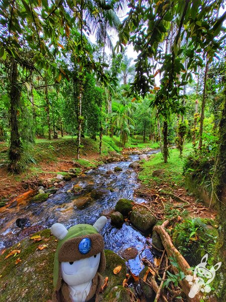 Remanso Ribeirão da Serra | Parque Estadual Carlos Botelho (PECB) Núcleo Sete Barras | Sete Barras - São Paulo - Brasil | FredLee Na Estrada Remanso Ribeirão da Serra | Parque Estadual Carlos Botelho (PECB) Núcleo Sete Barras | Sete Barras - São Paulo - Brasil | FredLee Na Estrada