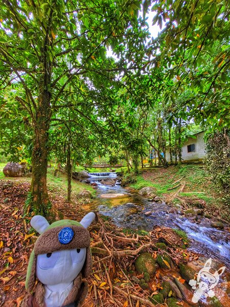 Remanso Ribeirão da Serra | Parque Estadual Carlos Botelho (PECB) Núcleo Sete Barras | Sete Barras - São Paulo - Brasil | FredLee Na Estrada Remanso Ribeirão da Serra | Parque Estadual Carlos Botelho (PECB) Núcleo Sete Barras | Sete Barras - São Paulo - Brasil | FredLee Na Estrada