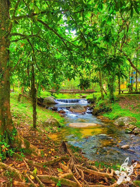 Remanso Ribeirão da Serra | Parque Estadual Carlos Botelho (PECB) Núcleo Sete Barras | Sete Barras - São Paulo - Brasil | FredLee Na Estrada Remanso Ribeirão da Serra | Parque Estadual Carlos Botelho (PECB) Núcleo Sete Barras | Sete Barras - São Paulo - Brasil | FredLee Na Estrada