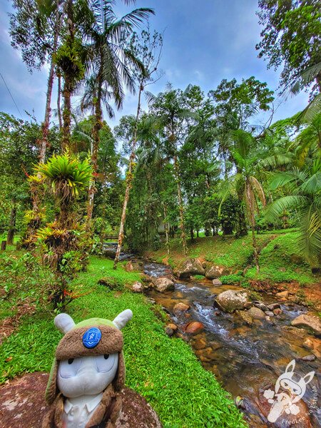 Remanso Ribeirão da Serra | Parque Estadual Carlos Botelho (PECB) Núcleo Sete Barras | Sete Barras - São Paulo - Brasil | FredLee Na Estrada Remanso Ribeirão da Serra | Parque Estadual Carlos Botelho (PECB) Núcleo Sete Barras | Sete Barras - São Paulo - Brasil | FredLee Na Estrada