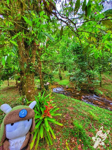 Remanso Ribeirão da Serra | Parque Estadual Carlos Botelho (PECB) Núcleo Sete Barras | Sete Barras - São Paulo - Brasil | FredLee Na Estrada Remanso Ribeirão da Serra | Parque Estadual Carlos Botelho (PECB) Núcleo Sete Barras | Sete Barras - São Paulo - Brasil | FredLee Na Estrada