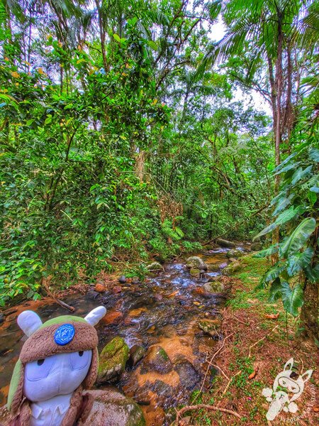 Remanso Ribeirão da Serra | Parque Estadual Carlos Botelho (PECB) Núcleo Sete Barras | Sete Barras - São Paulo - Brasil | FredLee Na Estrada Remanso Ribeirão da Serra | Parque Estadual Carlos Botelho (PECB) Núcleo Sete Barras | Sete Barras - São Paulo - Brasil | FredLee Na Estrada