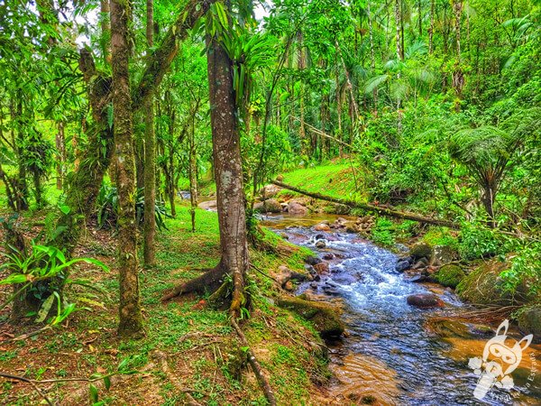 Remanso Ribeirão da Serra | Parque Estadual Carlos Botelho (PECB) Núcleo Sete Barras | Sete Barras - São Paulo - Brasil | FredLee Na Estrada Remanso Ribeirão da Serra | Parque Estadual Carlos Botelho (PECB) Núcleo Sete Barras | Sete Barras - São Paulo - Brasil | FredLee Na Estrada