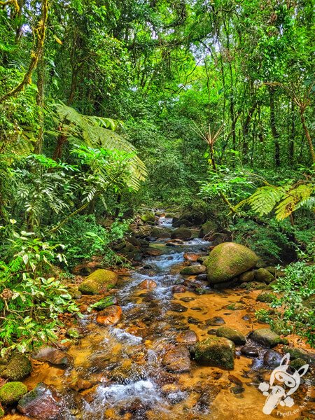 Remanso Ribeirão da Serra - Trilha da Figueira | Parque Estadual Carlos Botelho (PECB) Núcleo Sete Barras | Sete Barras - São Paulo - Brasil | FredLee Na Estrada Remanso Ribeirão da Serra - Trilha da Figueira | Parque Estadual Carlos Botelho (PECB) Núcleo Sete Barras | Sete Barras - São Paulo - Brasil | FredLee Na Estrada