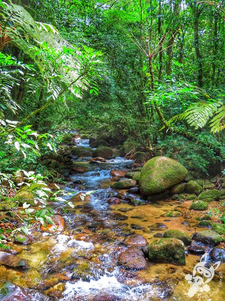 Remanso Ribeirão da Serra - Trilha da Figueira | Parque Estadual Carlos Botelho (PECB) Núcleo Sete Barras | Sete Barras - São Paulo - Brasil | FredLee Na Estrada Remanso Ribeirão da Serra - Trilha da Figueira | Parque Estadual Carlos Botelho (PECB) Núcleo Sete Barras | Sete Barras - São Paulo - Brasil | FredLee Na Estrada