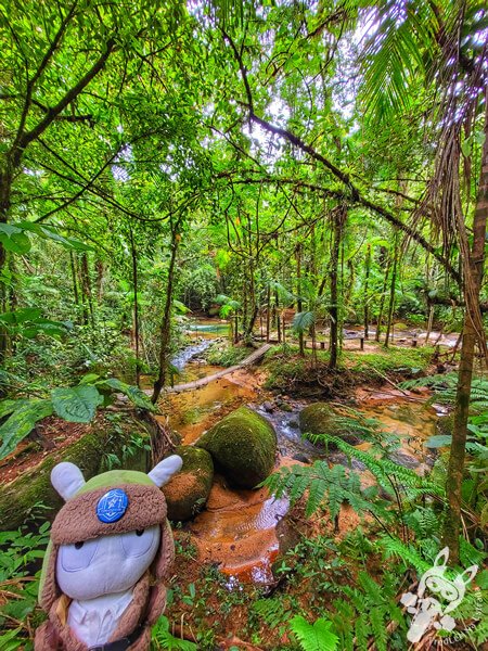 Área para banho no Remanso Ribeirão da Serra - Trilha da Figueira | Parque Estadual Carlos Botelho (PECB) Núcleo Sete Barras | Sete Barras - São Paulo - Brasil | FredLee Na Estrada Área para banho no Remanso Ribeirão da Serra - Trilha da Figueira | Parque Estadual Carlos Botelho (PECB) Núcleo Sete Barras | Sete Barras - São Paulo - Brasil | FredLee Na Estrada