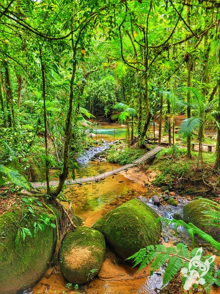 Área para banho no Remanso Ribeirão da Serra - Trilha da Figueira | Parque Estadual Carlos Botelho (PECB) Núcleo Sete Barras | Sete Barras - São Paulo - Brasil | FredLee Na Estrada Área para banho no Remanso Ribeirão da Serra - Trilha da Figueira | Parque Estadual Carlos Botelho (PECB) Núcleo Sete Barras | Sete Barras - São Paulo - Brasil | FredLee Na Estrada