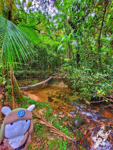 Área para banho no Remanso Ribeirão da Serra - Trilha da Figueira | Parque Estadual Carlos Botelho (PECB) Núcleo Sete Barras | Sete Barras - São Paulo - Brasil | FredLee Na Estrada Área para banho no Remanso Ribeirão da Serra - Trilha da Figueira | Parque Estadual Carlos Botelho (PECB) Núcleo Sete Barras | Sete Barras - São Paulo - Brasil | FredLee Na Estrada