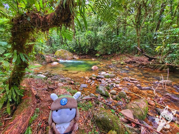 Área para banho no Remanso Ribeirão da Serra - Trilha da Figueira | Parque Estadual Carlos Botelho (PECB) Núcleo Sete Barras | Sete Barras - São Paulo - Brasil | FredLee Na Estrada Área para banho no Remanso Ribeirão da Serra - Trilha da Figueira | Parque Estadual Carlos Botelho (PECB) Núcleo Sete Barras | Sete Barras - São Paulo - Brasil | FredLee Na Estrada