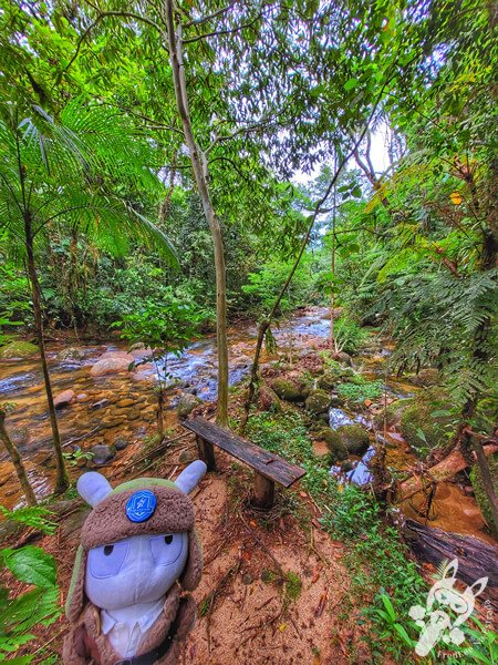 Área para banho no Remanso Ribeirão da Serra - Trilha da Figueira | Parque Estadual Carlos Botelho (PECB) Núcleo Sete Barras | Sete Barras - São Paulo - Brasil | FredLee Na Estrada Área para banho no Remanso Ribeirão da Serra - Trilha da Figueira | Parque Estadual Carlos Botelho (PECB) Núcleo Sete Barras | Sete Barras - São Paulo - Brasil | FredLee Na Estrada