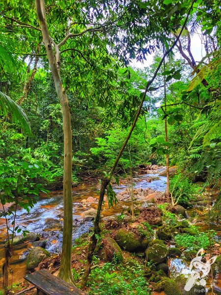Área para banho no Remanso Ribeirão da Serra - Trilha da Figueira | Parque Estadual Carlos Botelho (PECB) Núcleo Sete Barras | Sete Barras - São Paulo - Brasil | FredLee Na Estrada Área para banho no Remanso Ribeirão da Serra - Trilha da Figueira | Parque Estadual Carlos Botelho (PECB) Núcleo Sete Barras | Sete Barras - São Paulo - Brasil | FredLee Na Estrada