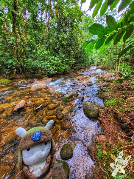 Área para banho no Remanso Ribeirão da Serra - Trilha da Figueira | Parque Estadual Carlos Botelho (PECB) Núcleo Sete Barras | Sete Barras - São Paulo - Brasil | FredLee Na Estrada Área para banho no Remanso Ribeirão da Serra - Trilha da Figueira | Parque Estadual Carlos Botelho (PECB) Núcleo Sete Barras | Sete Barras - São Paulo - Brasil | FredLee Na Estrada