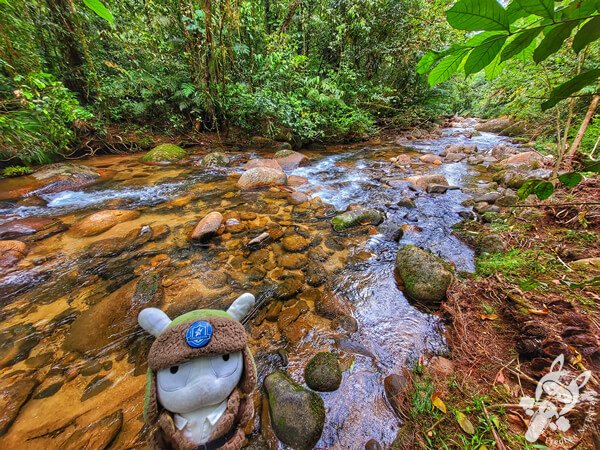 Área para banho no Remanso Ribeirão da Serra - Trilha da Figueira | Parque Estadual Carlos Botelho (PECB) Núcleo Sete Barras | Sete Barras - São Paulo - Brasil | FredLee Na Estrada Área para banho no Remanso Ribeirão da Serra - Trilha da Figueira | Parque Estadual Carlos Botelho (PECB) Núcleo Sete Barras | Sete Barras - São Paulo - Brasil | FredLee Na Estrada