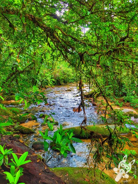Remanso Ribeirão da Serra - Trilha da Figueira | Parque Estadual Carlos Botelho (PECB) Núcleo Sete Barras | Sete Barras - São Paulo - Brasil | FredLee Na Estrada Remanso Ribeirão da Serra - Trilha da Figueira | Parque Estadual Carlos Botelho (PECB) Núcleo Sete Barras | Sete Barras - São Paulo - Brasil | FredLee Na Estrada