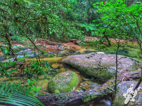 Trilha da Figueira | Parque Estadual Carlos Botelho (PECB) Núcleo Sete Barras | Sete Barras - São Paulo - Brasil | FredLee Na Estrada Trilha da Figueira | Parque Estadual Carlos Botelho (PECB) Núcleo Sete Barras | Sete Barras - São Paulo - Brasil | FredLee Na Estrada