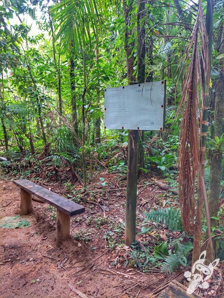 Trilha da Figueira | Parque Estadual Carlos Botelho (PECB) Núcleo Sete Barras | Sete Barras - São Paulo - Brasil | FredLee Na Estrada Trilha da Figueira | Parque Estadual Carlos Botelho (PECB) Núcleo Sete Barras | Sete Barras - São Paulo - Brasil | FredLee Na Estrada