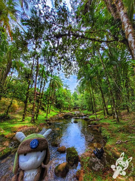 Remanso Ribeirão da Serra | Parque Estadual Carlos Botelho (PECB) Núcleo Sete Barras | Sete Barras - São Paulo - Brasil | FredLee Na Estrada Remanso Ribeirão da Serra | Parque Estadual Carlos Botelho (PECB) Núcleo Sete Barras | Sete Barras - São Paulo - Brasil | FredLee Na Estrada