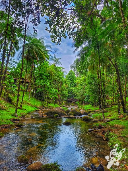 Remanso Ribeirão da Serra | Parque Estadual Carlos Botelho (PECB) Núcleo Sete Barras | Sete Barras - São Paulo - Brasil | FredLee Na Estrada Remanso Ribeirão da Serra | Parque Estadual Carlos Botelho (PECB) Núcleo Sete Barras | Sete Barras - São Paulo - Brasil | FredLee Na Estrada