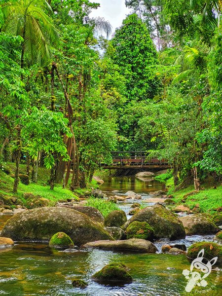 Remanso Ribeirão da Serra | Parque Estadual Carlos Botelho (PECB) Núcleo Sete Barras | Sete Barras - São Paulo - Brasil | FredLee Na Estrada Remanso Ribeirão da Serra | Parque Estadual Carlos Botelho (PECB) Núcleo Sete Barras | Sete Barras - São Paulo - Brasil | FredLee Na Estrada