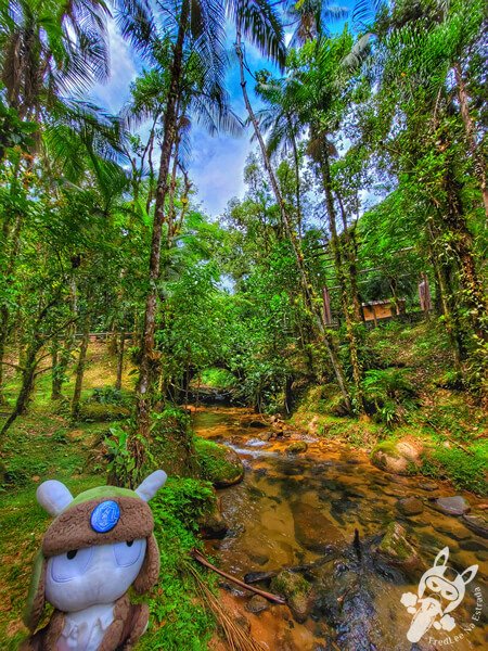 Remanso Ribeirão da Serra | Parque Estadual Carlos Botelho (PECB) Núcleo Sete Barras | Sete Barras - São Paulo - Brasil | FredLee Na Estrada Remanso Ribeirão da Serra | Parque Estadual Carlos Botelho (PECB) Núcleo Sete Barras | Sete Barras - São Paulo - Brasil | FredLee Na Estrada